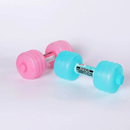 Comprehensive Home Water Dumbbells